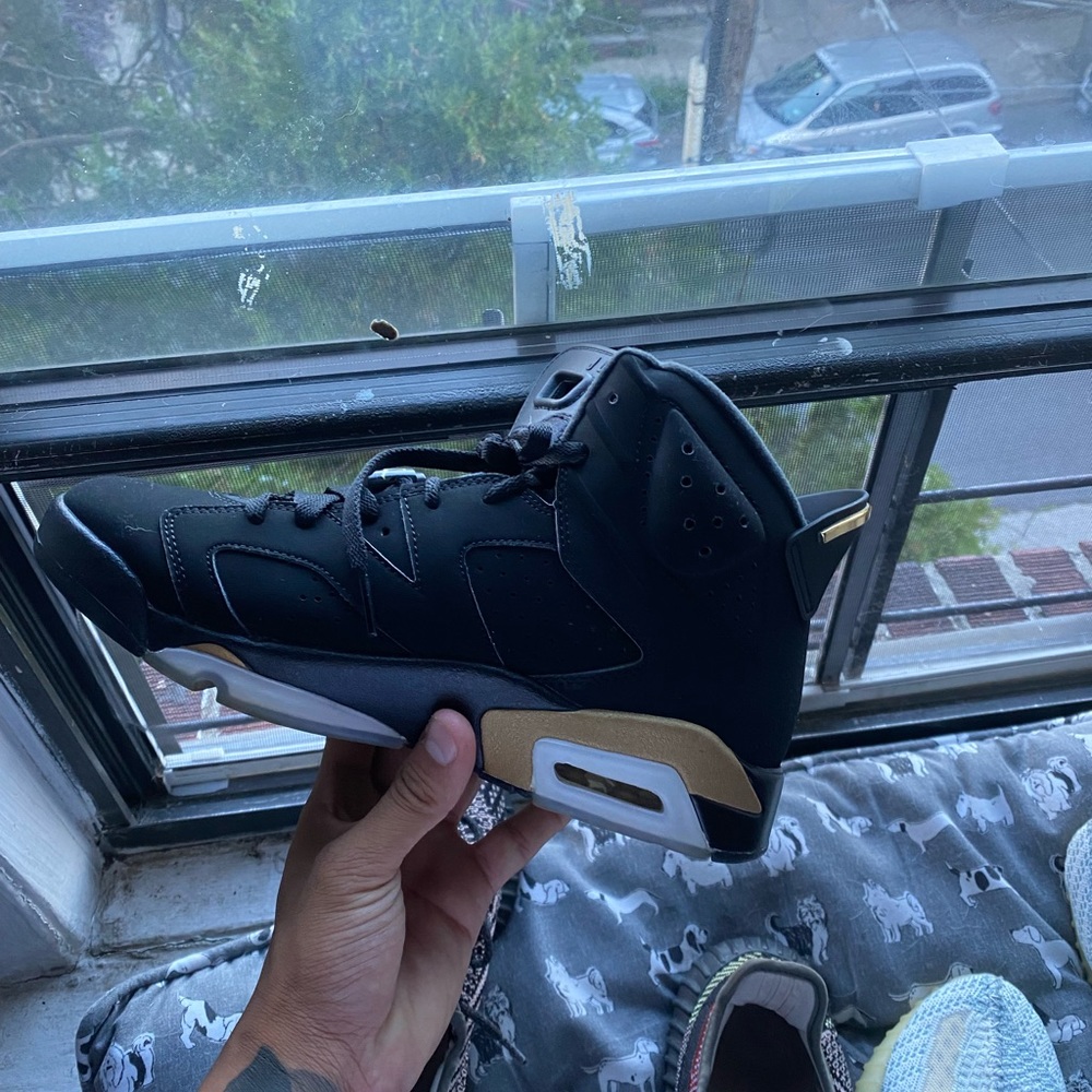 DMP 6